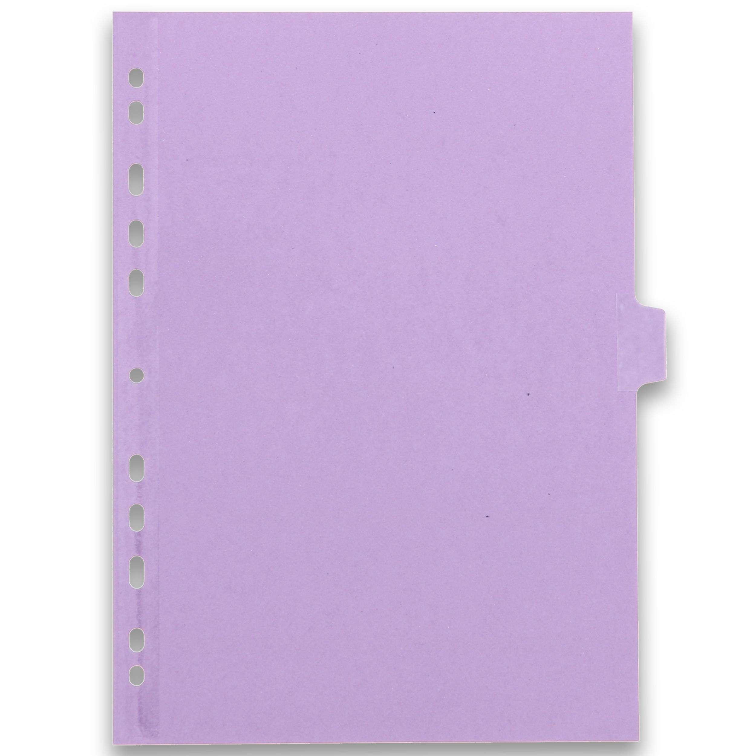 Divisori Oxford Strongline - Set 25 Pezzi, 5 Colori Pastello, Per Organizzazione - Foto 12