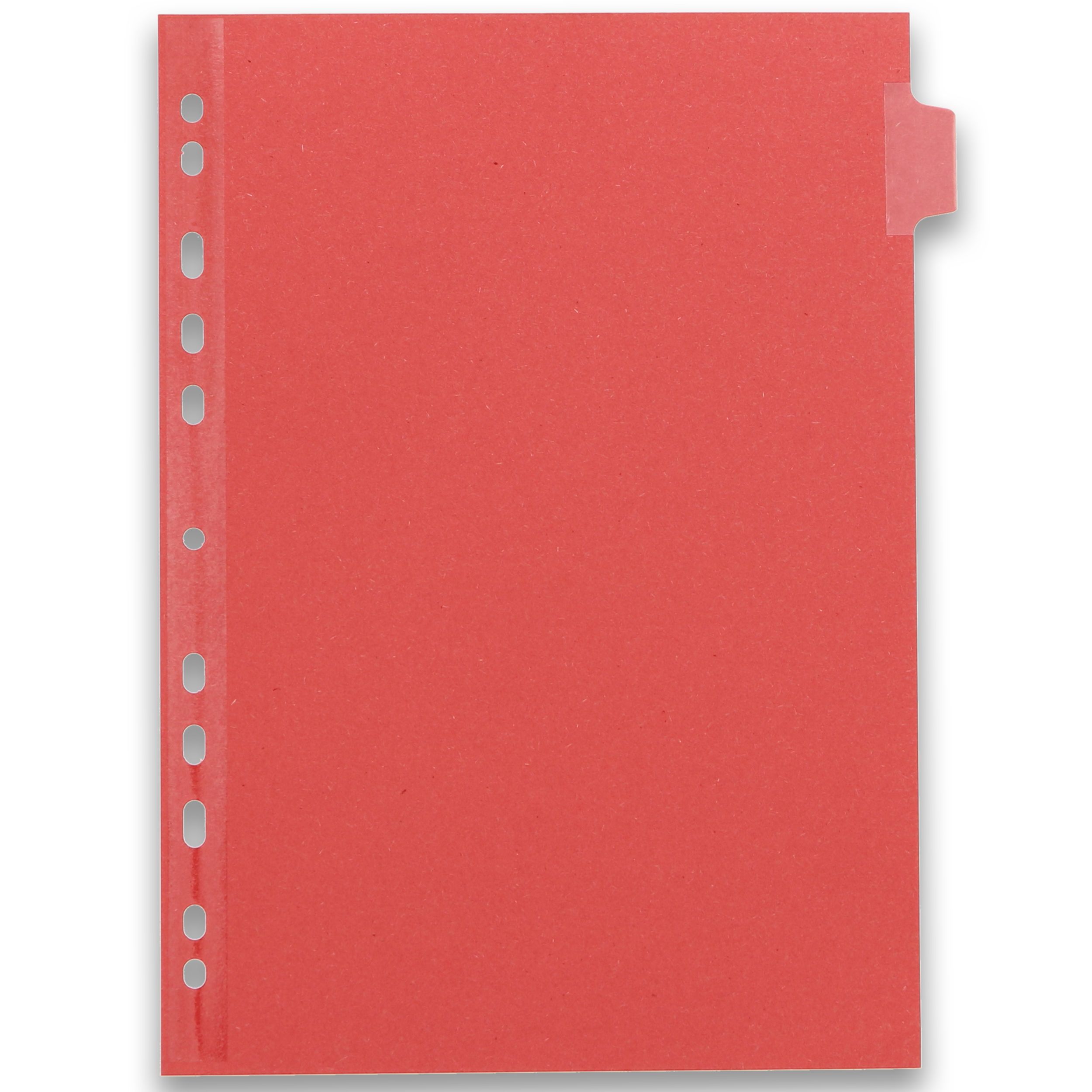 Divisori Oxford Strongline - Set 25 Pezzi, 5 Colori Pastello, Per Organizzazione - Foto 2