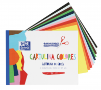 OXFORD MANUALIDADES Bloc Encolado Cartulina Colores A4+ Tapa Blanda 10 Hojas 170gr