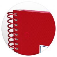 OXFORD SCHOOL CLASSIC A4+ Tapa Extradura Europeanbook 1 5x5 80 Hojas ROJO SCRIBZEE