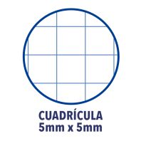 OXFORD LIVE & GO A4+ Tapa de Plástico Europeanbook 8 5X5 160 Hojas COLORES PASTEL SCRIBZEE