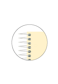 OXFORD LIVE & GO A4+ Tapa de Plástico Europeanbook 8 5X5 160 Hojas COLORES PASTEL SCRIBZEE