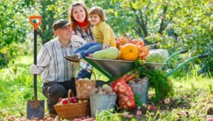 family-farm-420x240