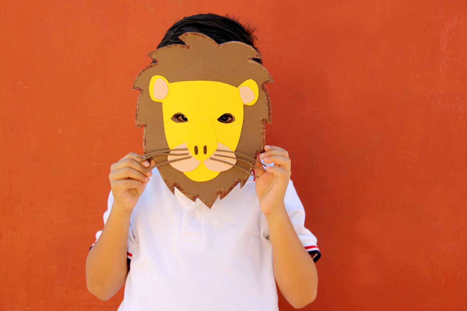 Imagen de un niño celebrando el Carnaval en la escuela.