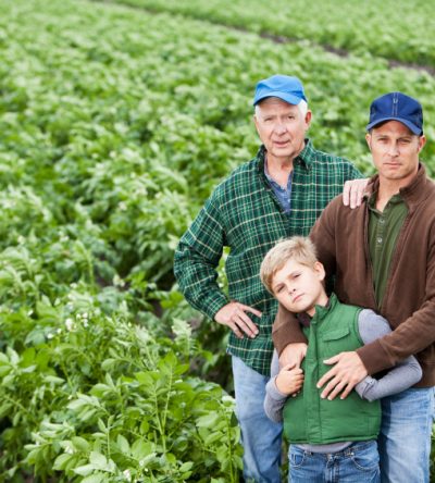 Family farm